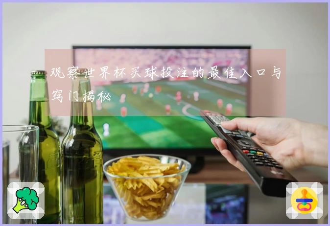 观察世界杯买球投注的最佳入口与窍门揭秘