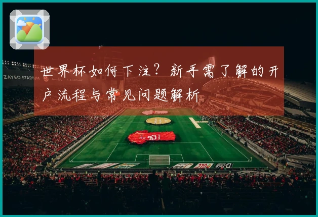 世界杯如何下注？新手需了解的开户流程与常见问题解析