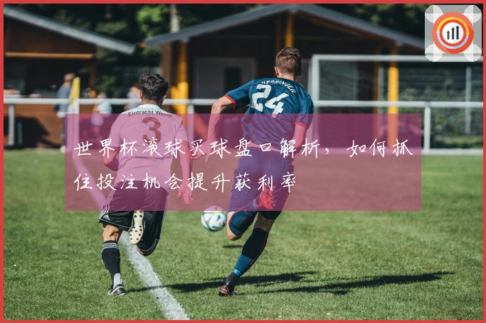 世界杯滚球买球盘口解析，如何抓住投注机会提升获利率