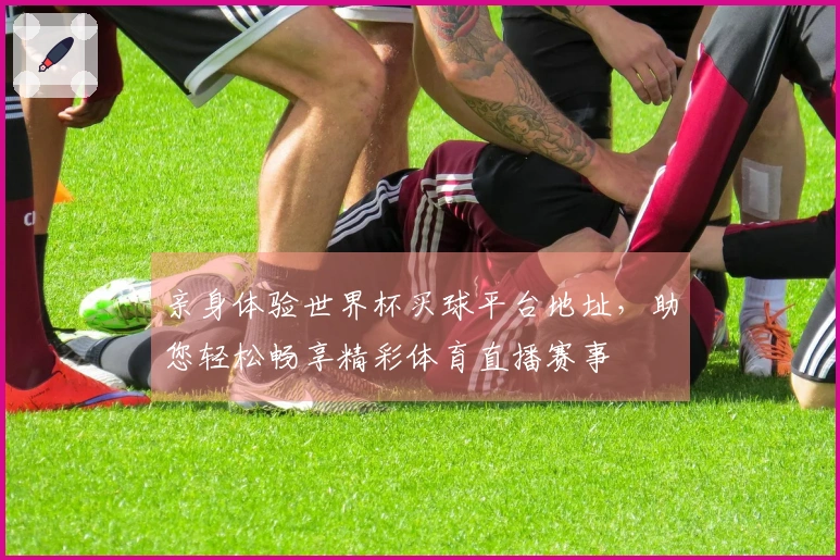 亲身体验世界杯买球平台地址，助您轻松畅享精彩体育直播赛事