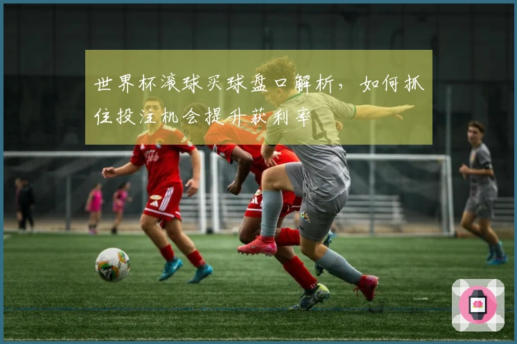 世界杯滚球买球盘口解析，如何抓住投注机会提升获利率