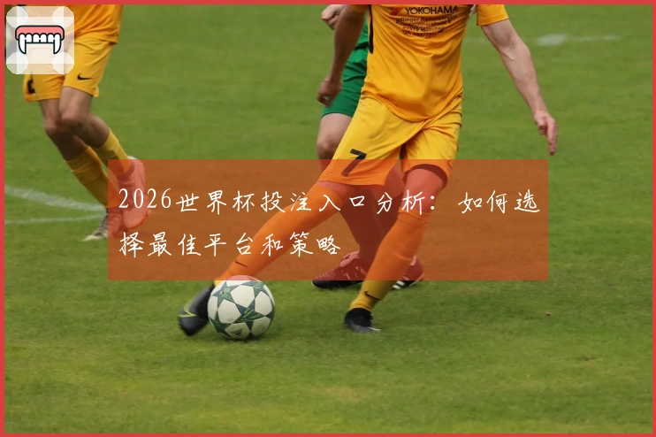 2026世界杯投注入口分析：如何选择最佳平台和策略