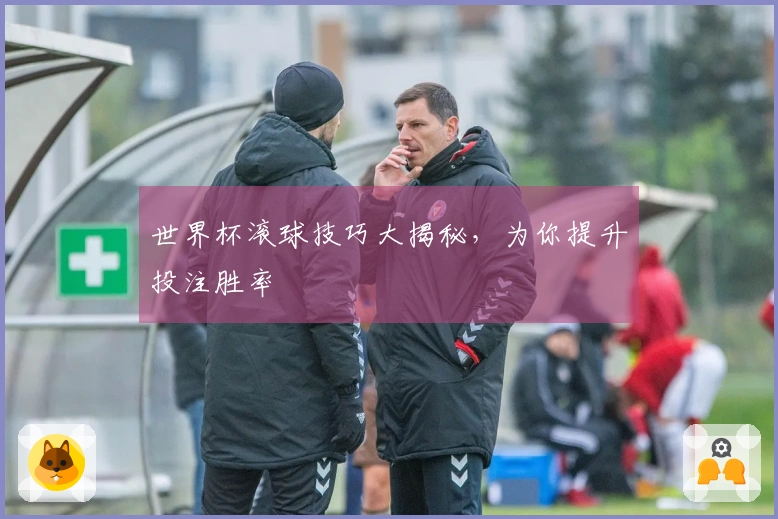 世界杯滚球技巧大揭秘，为你提升投注胜率