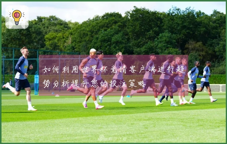 如何利用世界杯竞猜客户端进行趋势分析提升您的投注策略