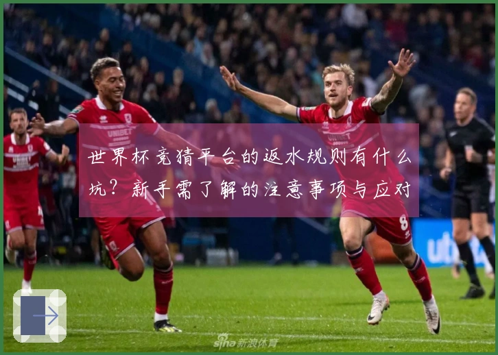 世界杯竞猜平台的返水规则有什么坑？新手需了解的注意事项与应对策略