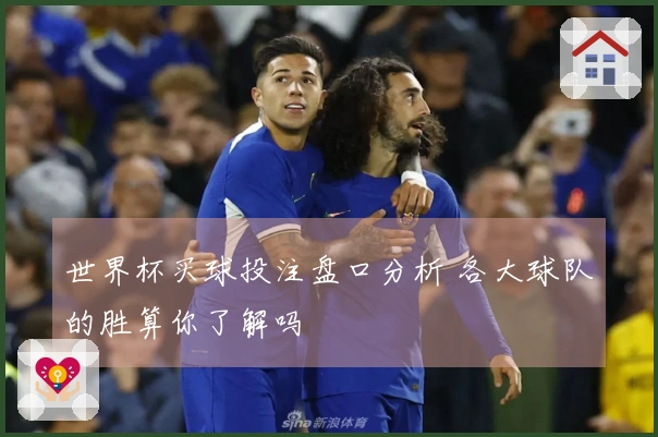 世界杯买球投注盘口分析 各大球队的胜算你了解吗