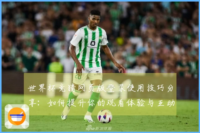 世界杯竞猜网页版登录使用技巧分享：如何提升你的观看体验与互动感
