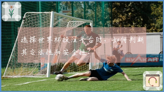 选择世界杯投注平台时，如何判断其合法性和安全性？
