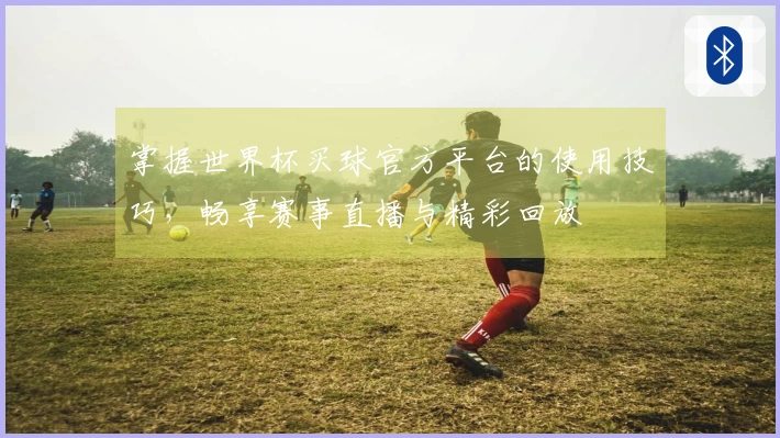 掌握世界杯买球官方平台的使用技巧，畅享赛事直播与精彩回放