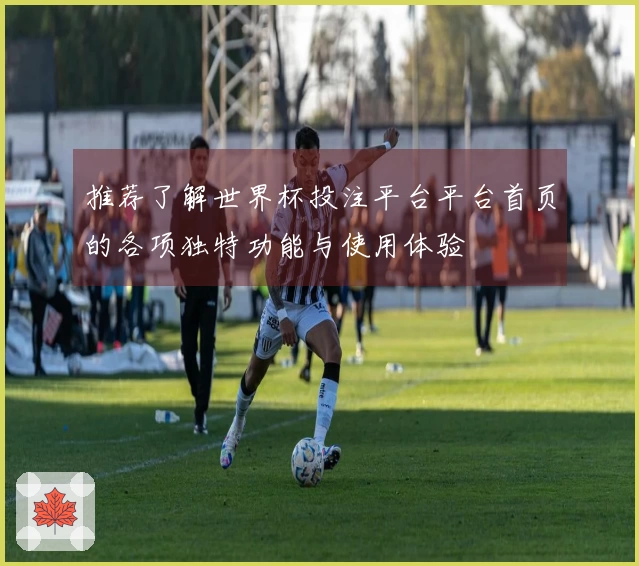 推荐了解世界杯投注平台平台首页的各项独特功能与使用体验