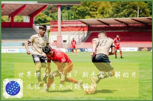 世界杯如何下注？新手需了解的开户流程与常见问题解析