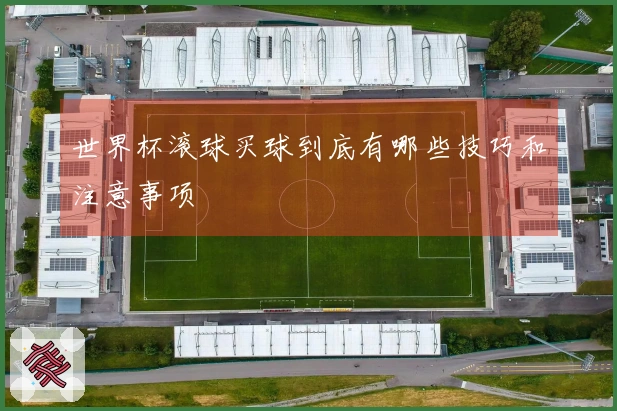 世界杯滚球买球到底有哪些技巧和注意事项