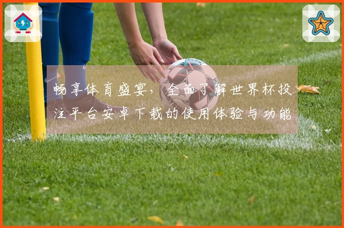 畅享体育盛宴，全面了解世界杯投注平台安卓下载的使用体验与功能介绍