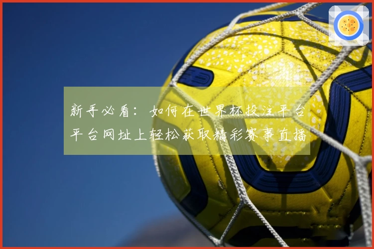 新手必看：如何在世界杯投注平台平台网址上轻松获取精彩赛事直播与功能体验