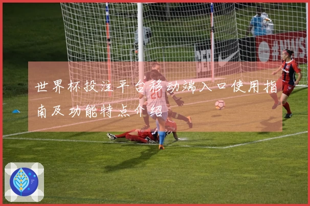 世界杯投注平台移动端入口使用指南及功能特点介绍