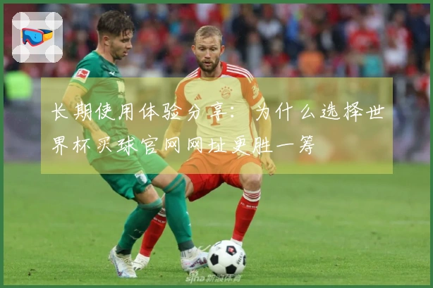 长期使用体验分享：为什么选择世界杯买球官网网址更胜一筹