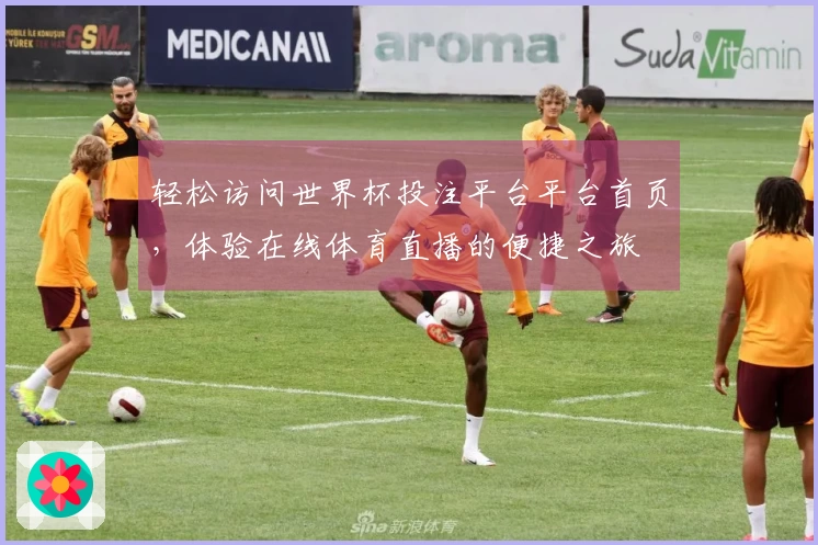 轻松访问世界杯投注平台平台首页，体验在线体育直播的便捷之旅